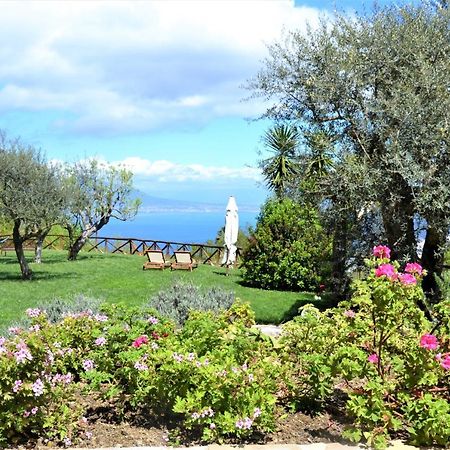Sorrento View Villa Εξωτερικό φωτογραφία