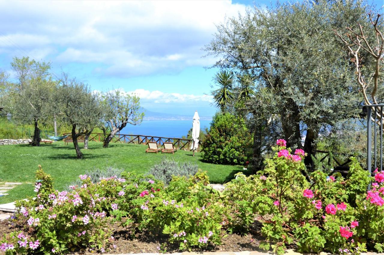 Sorrento View Villa Εξωτερικό φωτογραφία